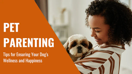 The Ultimate Guide to Pet Parenting: Tips for Ensuring Your Dog's Wellness and Happiness